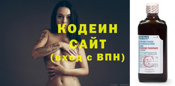индика Карталы