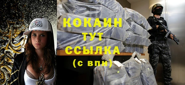 индика Карталы