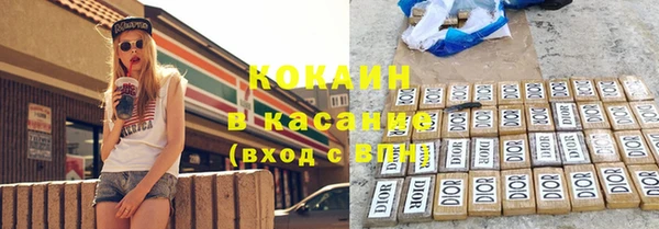 индика Карталы
