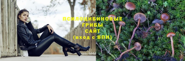 a pvp Касимов