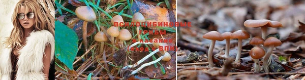 спиды Новосибирск